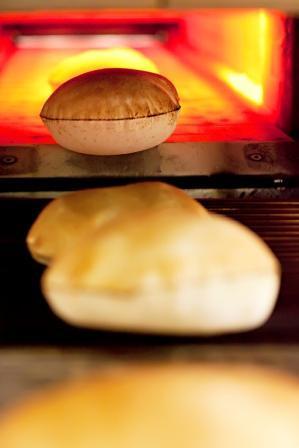 pita-conveyer-color-1