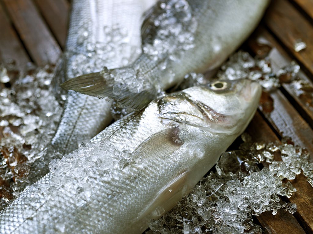 Phoenicia Specialty Foods - Fresh Fish